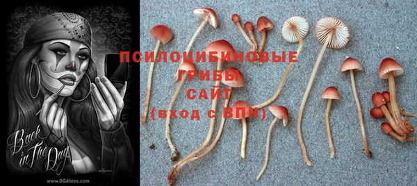 мет Верея