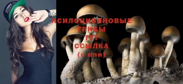 мдпв Верхний Тагил