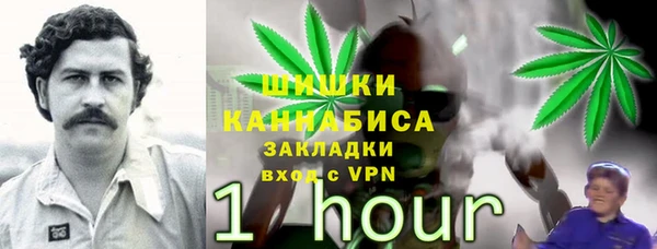 мдпв Верхний Тагил