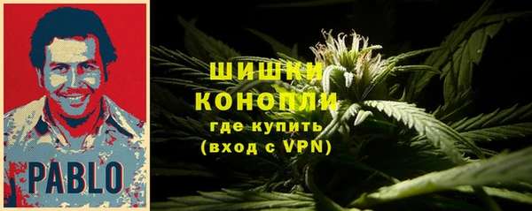 мдпв Верхний Тагил