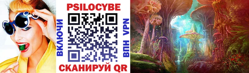 как найти закладки  Голицыно  Галлюциногенные грибы Psilocybe 